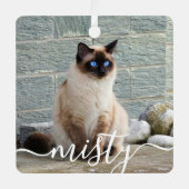 Speels Script Pet Photo Kerstmis Metalen Ornament (Voorkant)