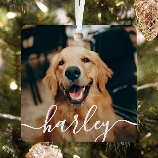 Speels Script Pet Photo Kerstmis Metalen Ornament