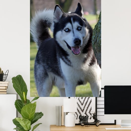 Speelse Alaska Husky slee Hond Mooie Art Print (Thuiskantoor)