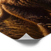 Speelse Apen Dans in Meadow Poster (Hoek)