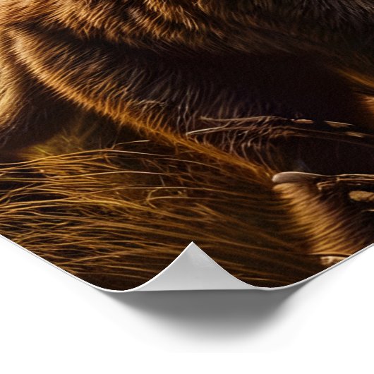 Speelse Apen Dans in Meadow Poster (Hoek)