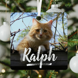 Speelse belettering Huisdier Foto Kerstmis Metalen Ornament