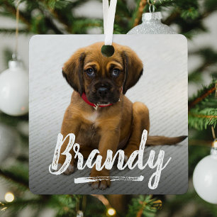 Speelse belettering Huisdier Foto Kerstmis Metalen Ornament