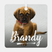 Speelse belettering Huisdier Foto Kerstmis Metalen Ornament (Achterkant)