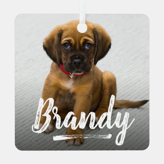 Speelse belettering Huisdier Foto Kerstmis Metalen Ornament (Achterkant)