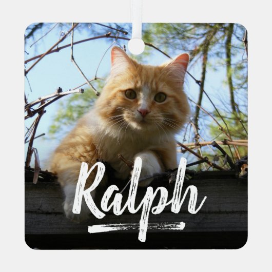 Speelse belettering Huisdier Foto Kerstmis Metalen Ornament (Achterkant)