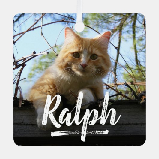 Speelse belettering Huisdier Foto Kerstmis Metalen Ornament (Voorkant)