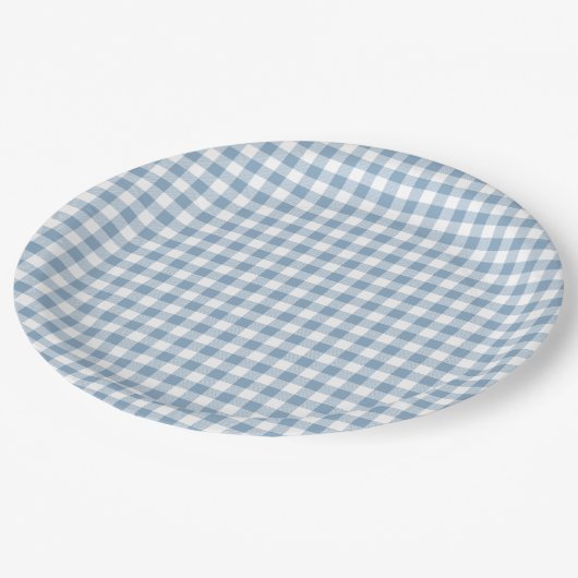 Speelse Blauwe Gingham Papieren Bordje (Gekanteld)