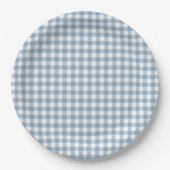 Speelse Blauwe Gingham Papieren Bordje (Voorkant)