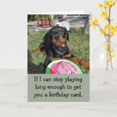 Speelse Bossy Rottweiler Verjaardag Kaart (Gele Bloem)