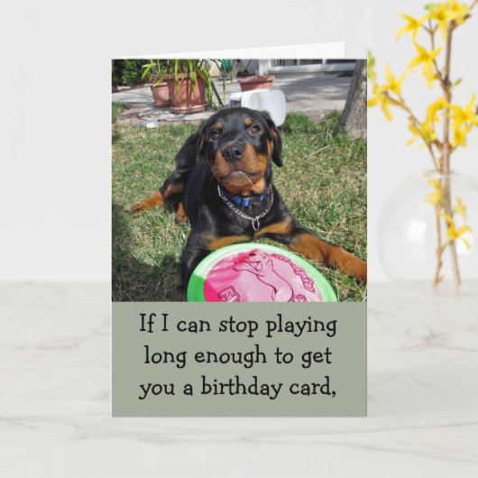 Speelse Bossy Rottweiler Verjaardag Kaart (Gele Bloem)