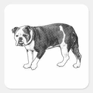 Speelse Bulldog Stip, Cartoon Sticker