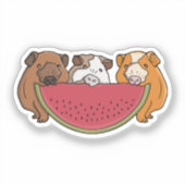 Speelse cavia's en watermeloen illustratie sticker (Voorkant)