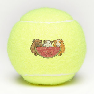 Speelse cavia's en watermeloen illustratie tennisballen