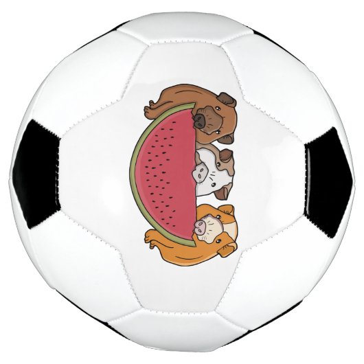 Speelse cavia's en watermeloen illustratie voetbal (Gedraaid)