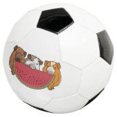 Speelse cavia's en watermeloen illustratie voetbal (Drie kwart)