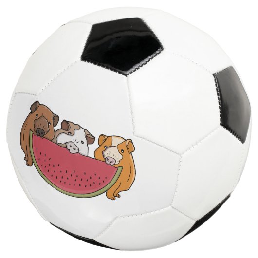 Speelse cavia's en watermeloen illustratie voetbal (Drie kwart)