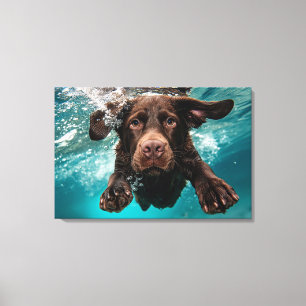 Speelse chocolade labrador zwemmen onder water canvas afdruk