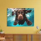 Speelse chocolade labrador zwemmen onder water canvas afdruk (Insitu (Woonkamer))