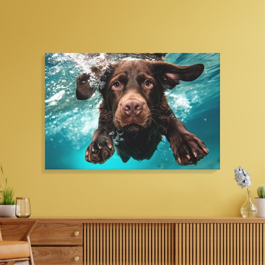 Speelse chocolade labrador zwemmen onder water canvas afdruk (Insitu (Woonkamer))