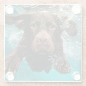 Speelse chocolade labrador zwemmen onder water glazen onderzetter (Achterkant)