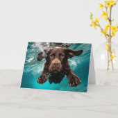 Speelse chocolade labrador zwemmen onder water kaart (Gele Bloem)
