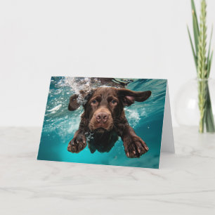 Speelse chocolade labrador zwemmen onder water kaart