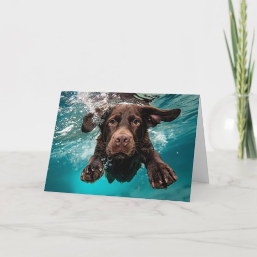 Speelse chocolade labrador zwemmen onder water kaart (Voorkant)