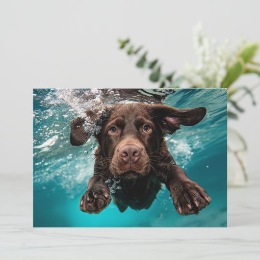 Speelse chocolade labrador zwemmen onder water kaart (Staand voorkant)