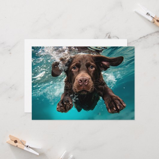 Speelse chocolade labrador zwemmen onder water kaart (Voorkant / Achterkant in situ)