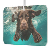 Speelse chocolade labrador zwemmen onder water luchtverfrisser (Links)