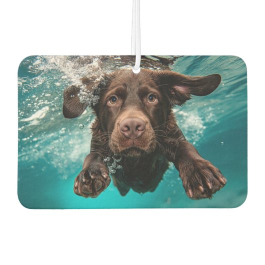 Speelse chocolade labrador zwemmen onder water luchtverfrisser (Voorkant)
