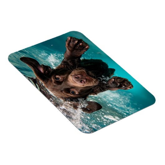 Speelse chocolade labrador zwemmen onder water magneet (Rechterzijde)