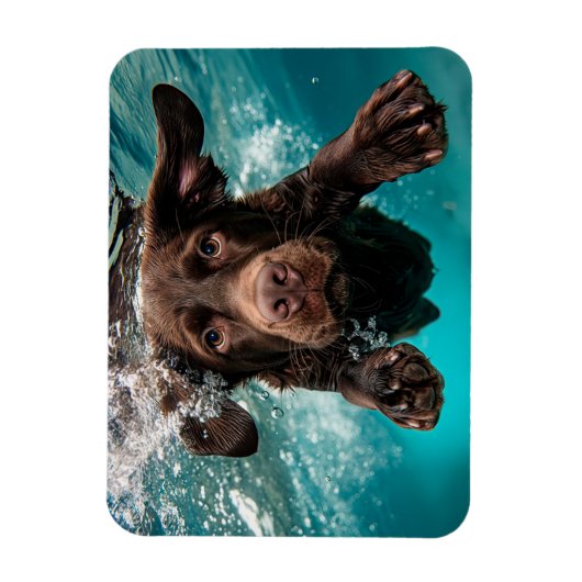 Speelse chocolade labrador zwemmen onder water magneet (Verticaal)