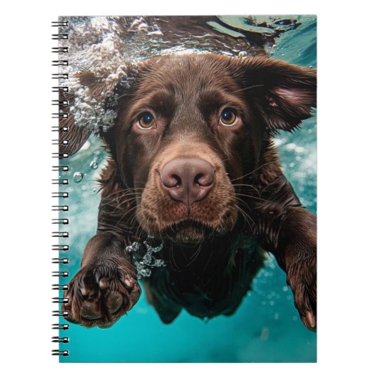 Speelse chocolade labrador zwemmen onder water notitieboek (Voorkant)