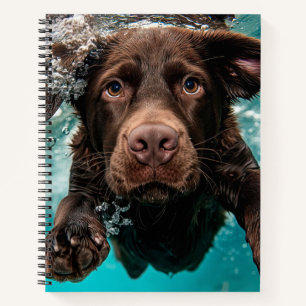 Speelse chocolade labrador zwemmen onder water notitieboek