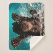 Speelse chocolade labrador zwemmen onder water sherpa deken (Voorkant)