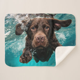 Speelse chocolade labrador zwemmen onder water sherpa deken