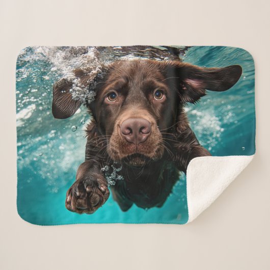 Speelse chocolade labrador zwemmen onder water sherpa deken (Voorkant (horizontaal))