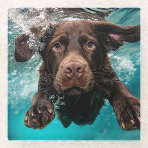 Speelse chocolade labrador zwemt onder water glazen onderzetter