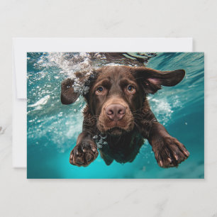 Speelse chocolade labrador zwemt onder water kaart