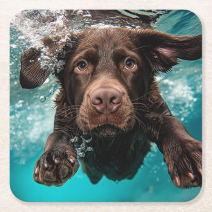Speelse chocolade labrador zwemt onder water kartonnen onderzetters
