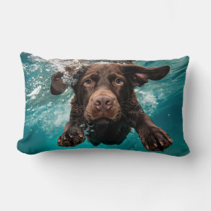 Speelse chocolade labrador zwemt onder water kussen