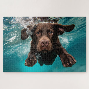 Speelse chocolade labrador zwemt onder water legpuzzel