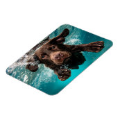 Speelse chocolade labrador zwemt onder water magneet (Linkerzijde)