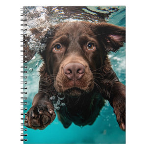 Speelse chocolade labrador zwemt onder water notitieboek