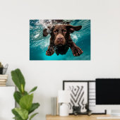 Speelse chocolade labrador zwemt onder water poster (Thuiskantoor)