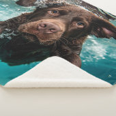 Speelse chocolade labrador zwemt onder water sherpa deken (3/4)
