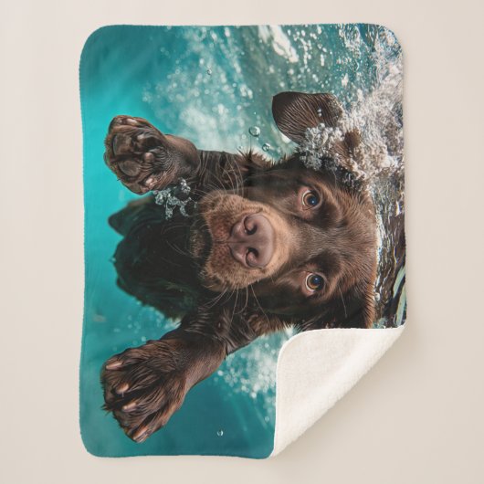 Speelse chocolade labrador zwemt onder water sherpa deken (Voorkant)
