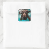Speelse chocolade labrador zwemt onder water vierkante sticker (Tas)